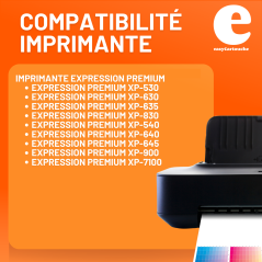 Cartouche compatible EPSON T33XL noir