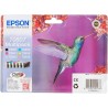 EPSON T080 - COLIBRI